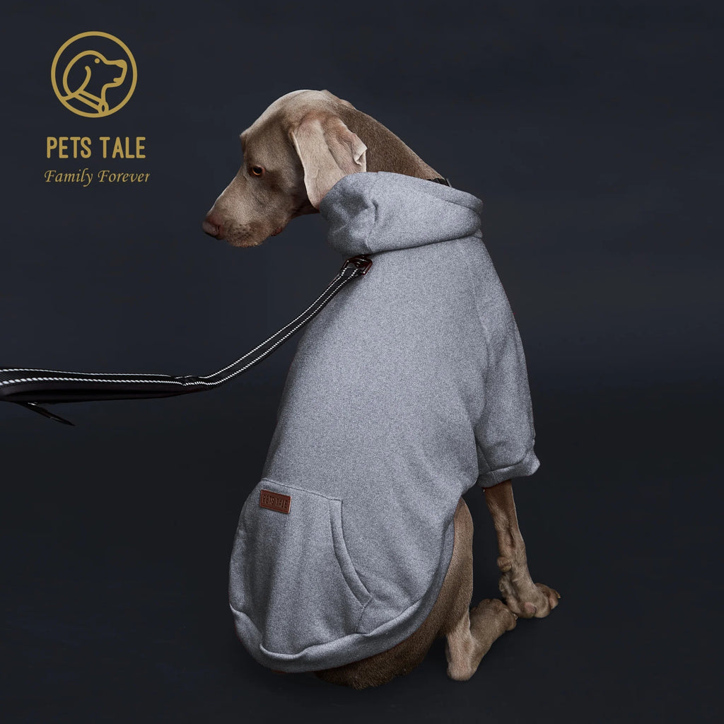 Dog wearing a gray hoodie with 'Pets Tale' logo on a dark background