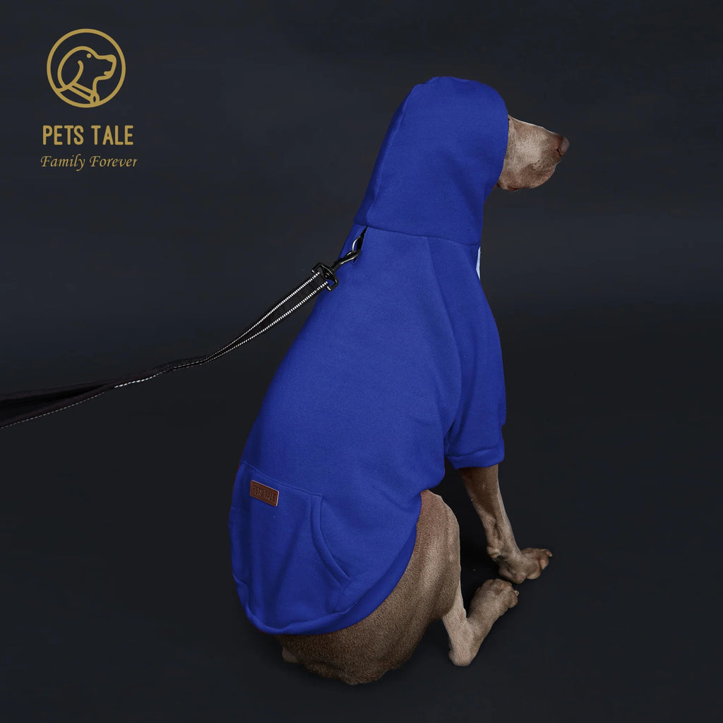 Dog wearing a blue hoodie with 'Pets Tale' logo on a dark background