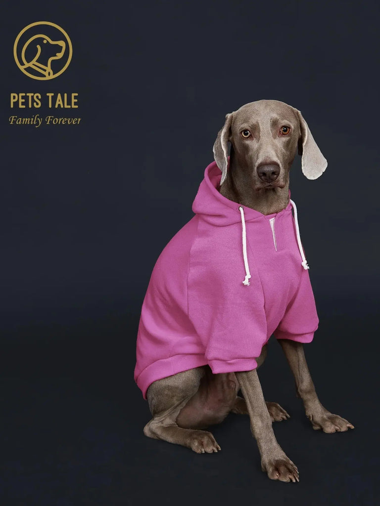 Dog wearing a pink hoodie with 'Pets Tale' logo on a dark background