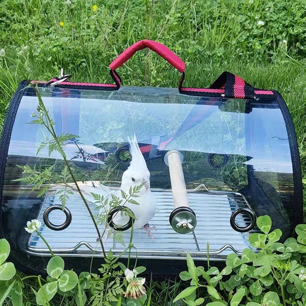 Clear pet carrier with a parrot inside, surrounded by green grass and plants.