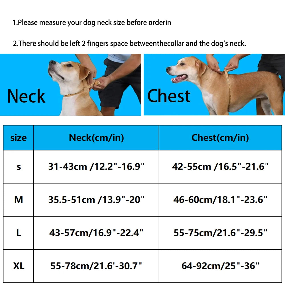 Measurement guide for dog collars with instructions and a chart of size measurements.