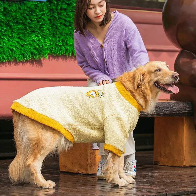 Dog wearing a yellow and white robe with a person in a purple sweater in the background.