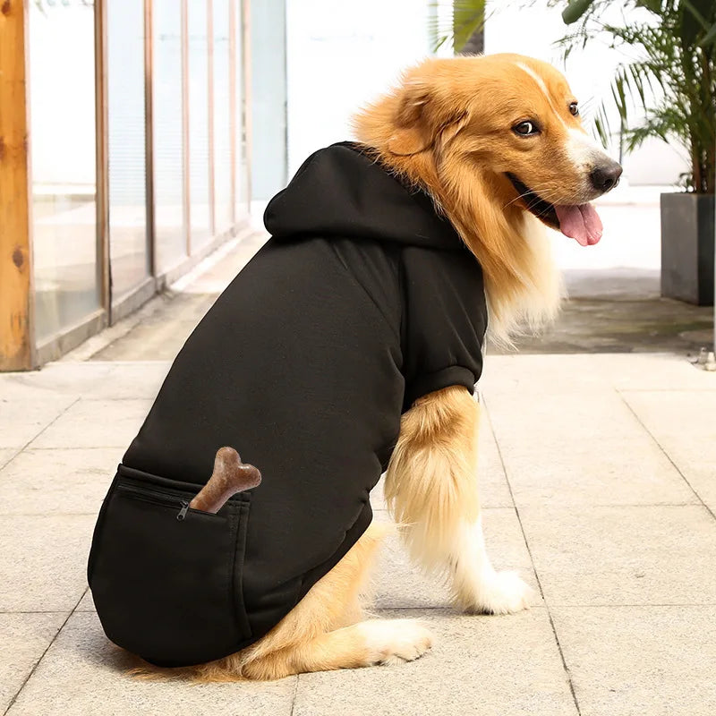 Dog wearing a black hoodie sitting on a pavement.