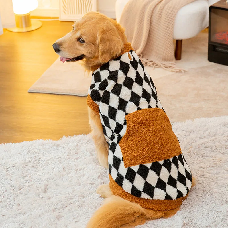 Dog wearing a checkered sweater sitting on a carpeted floor.