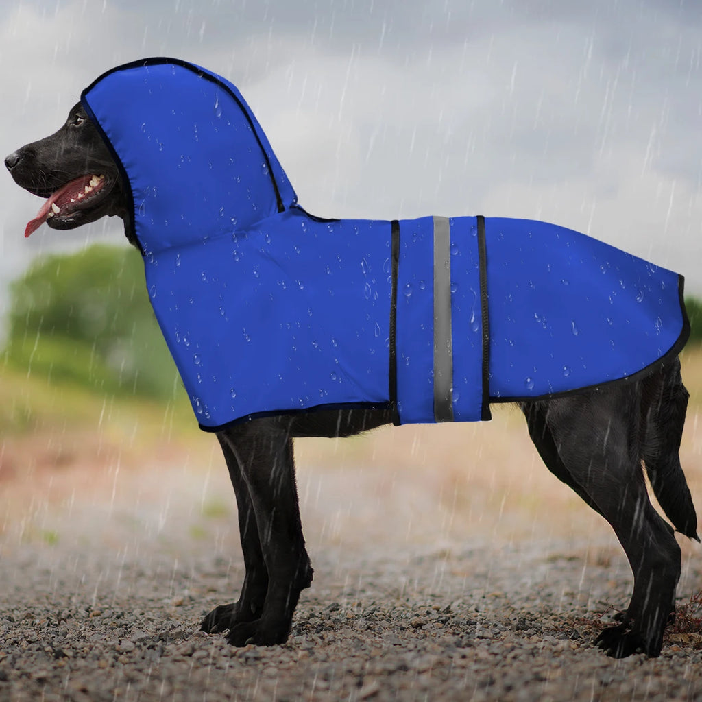 Dog wearing a blue raincoat standing in the rain with a blurred natural background