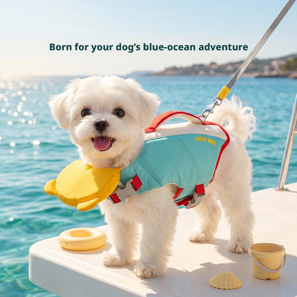 A small white dog stands on a boat deck wearing a light blue and red dog life jacket with a yellow belly float. The background shows blue ocean water and distant shoreline.