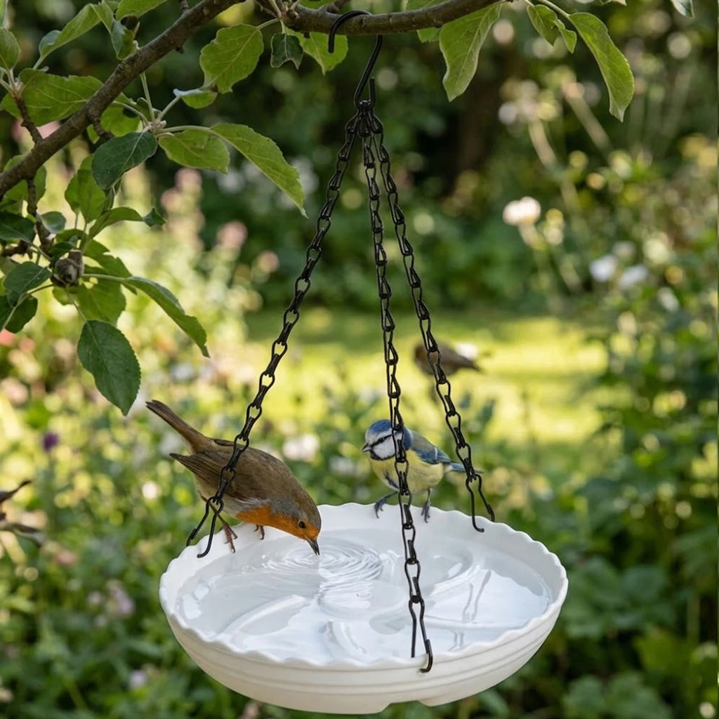 A white ceramic hanging bird bath with a scalloped rim and two black metal chains, suspended from a tree branch in a garden. Two small birds are drinking water from the bath, with a blurred green garden background.