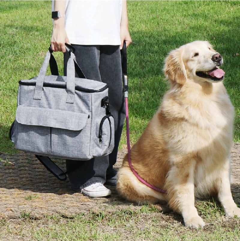 Person holding a gray pet carrier with a golden retriever on a leash in a grassy area