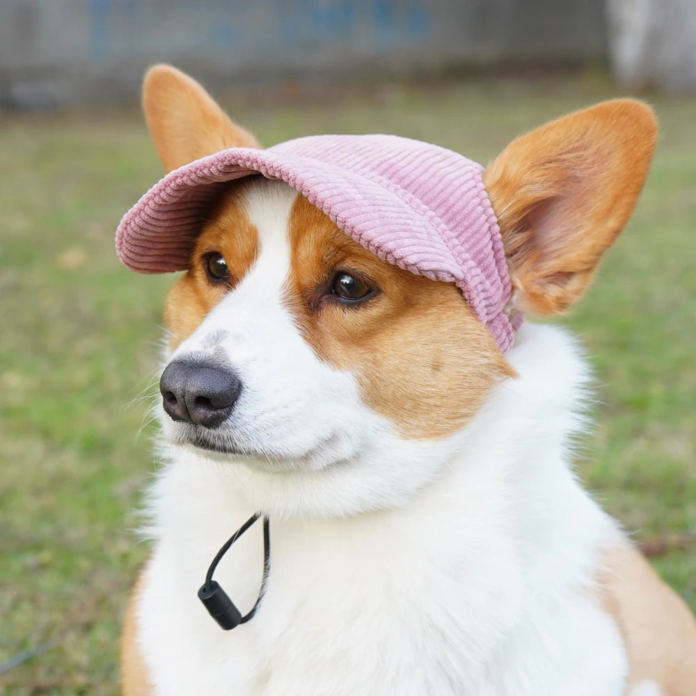 Dog wearing a pink beanie outdoors on a grassy background