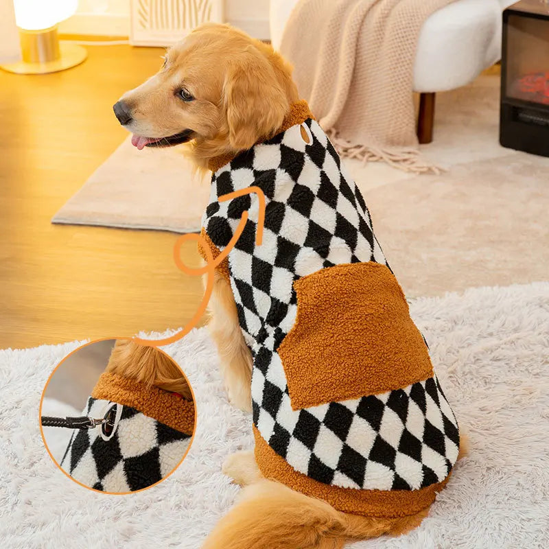 Dog wearing a checkered sweater with a brown patch in a cozy indoor setting.