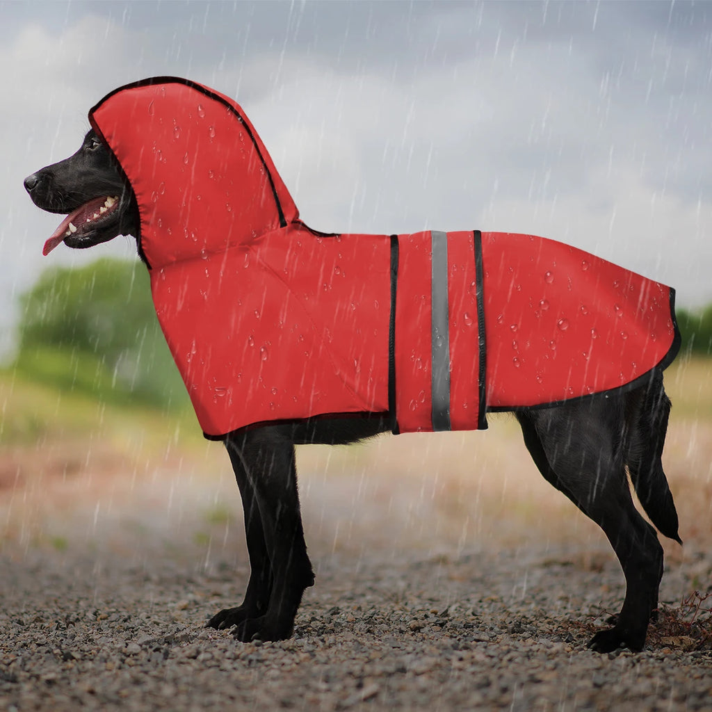 Dog wearing a red raincoat in the rain
