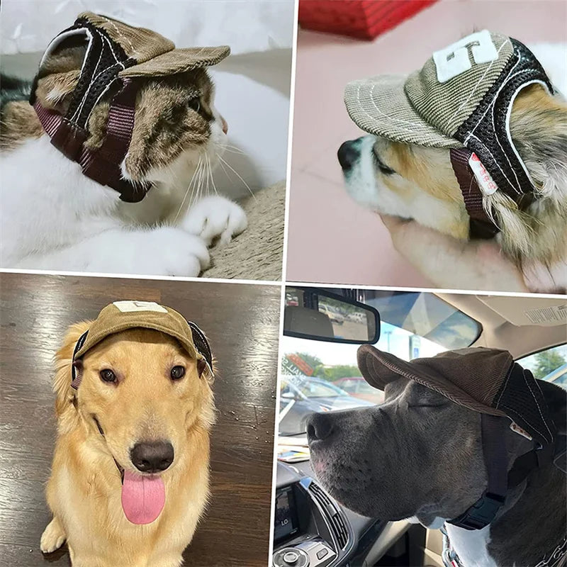 Collage of cats and dogs wearing hats in various settings.