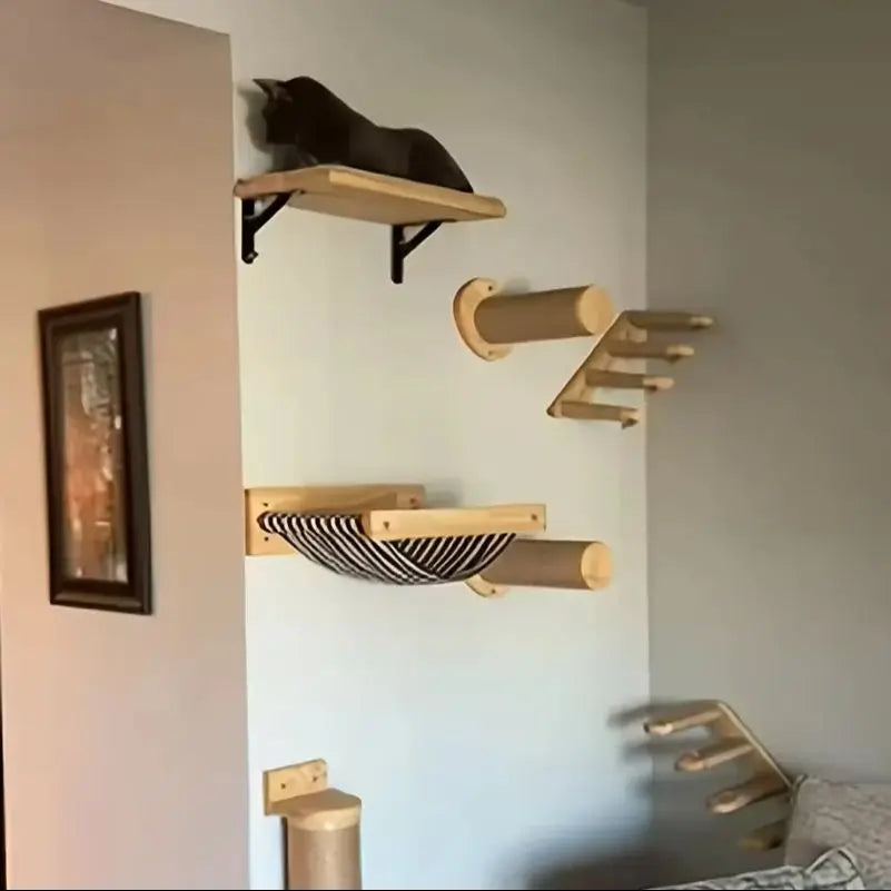 Cat climbing shelves on a wall with a cat sitting on one of the shelves.