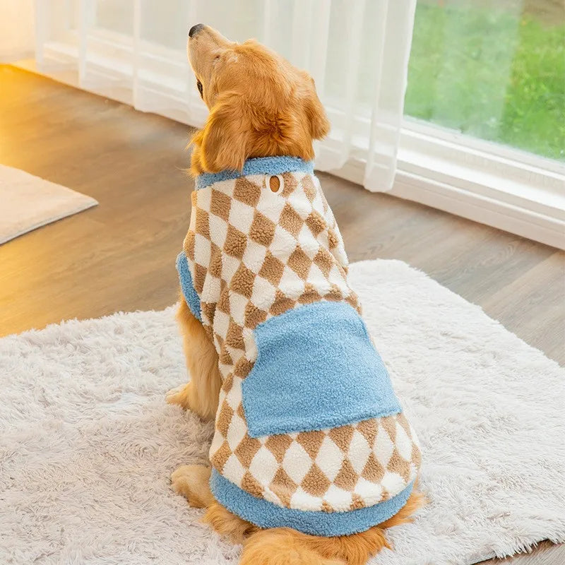 Dog wearing a checkered sweater sitting on a rug indoors.