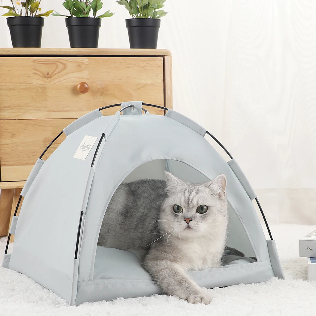 Cat inside a gray pet tent on a white surface with a wooden dresser and potted plants in the background.