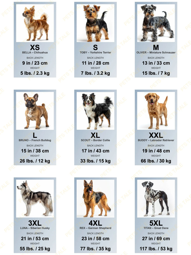 Chart showing different dog sizes with images and measurements