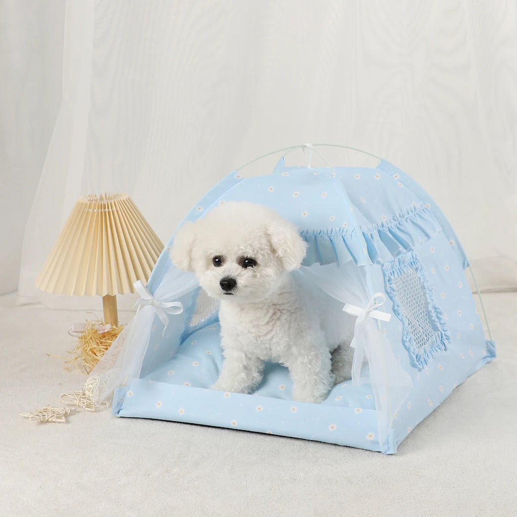 Small white dog inside a blue pet tent with star patterns on a light gray background