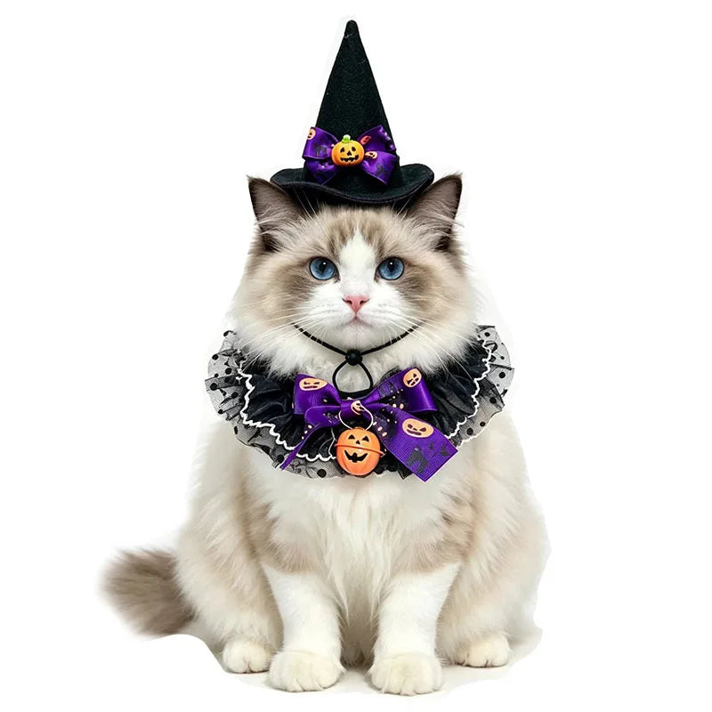 Halloween Pet Costume Set – Witch Hat & Bandana Scarf for Cats & Small Dogs, Cute Cosplay Outfit for Parties & Photos