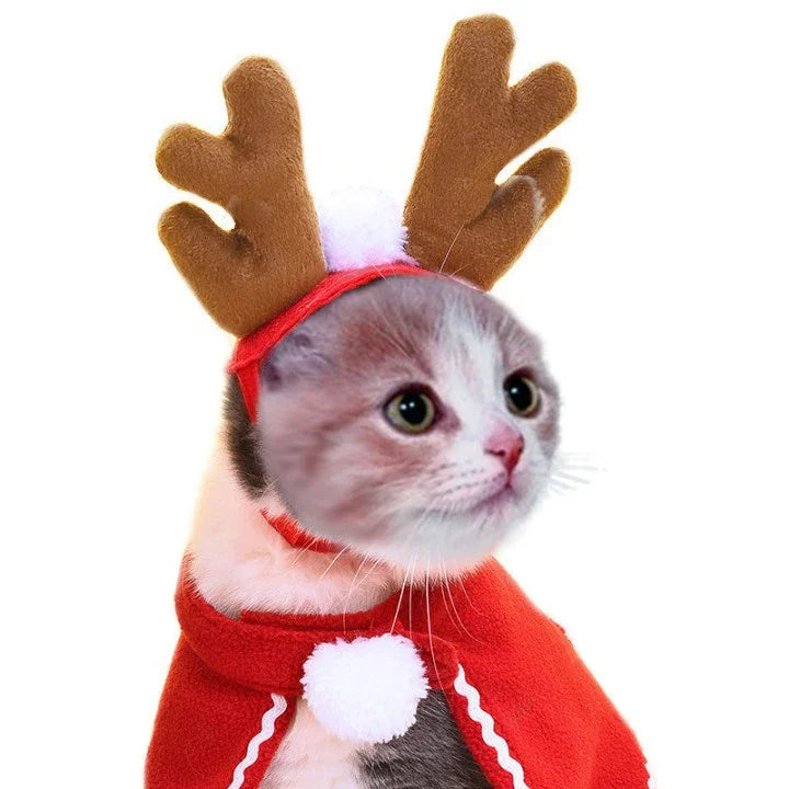 Cat wearing a red sweater with white trim and brown reindeer antlers on a white background
