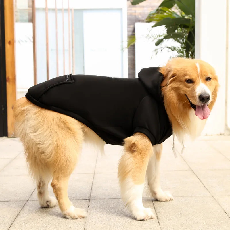 Dog wearing a black coat standing on a tiled floor.