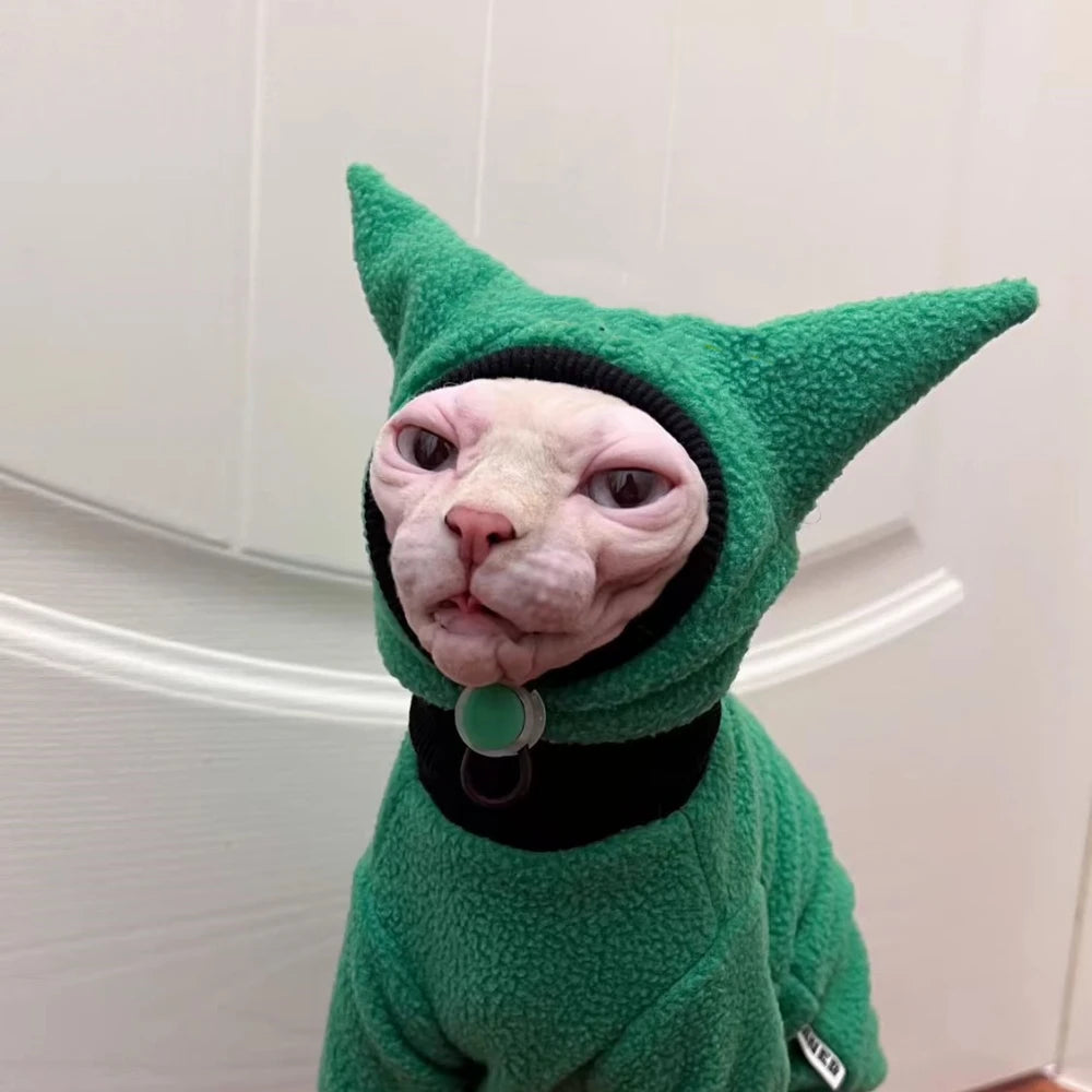 Sphynx cat wearing a green outfit with pointed ears against a white background