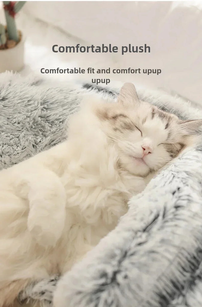 Cat lying on a fluffy white blanket with text 'Comfortable plush' and 'Comfortable fit and comfort upup'.
