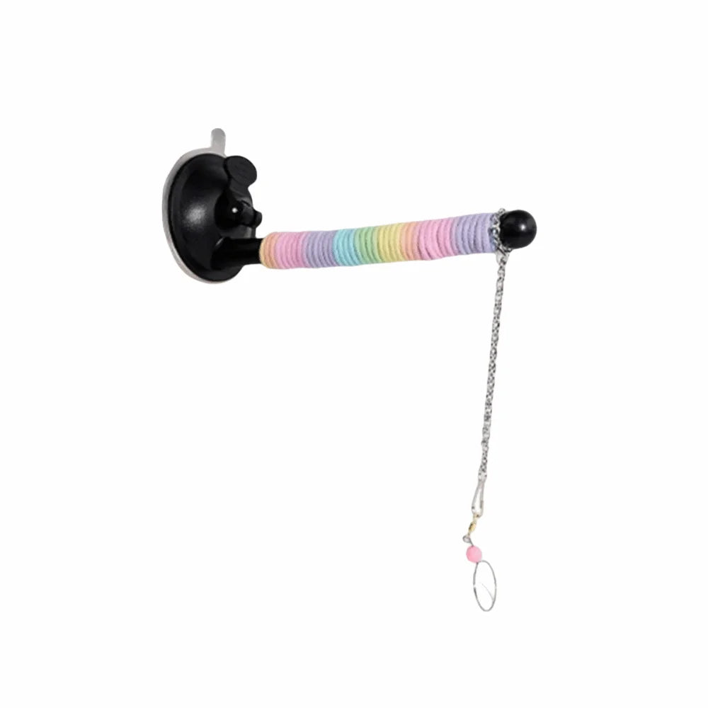 Black plunger with a colorful handle on a white background