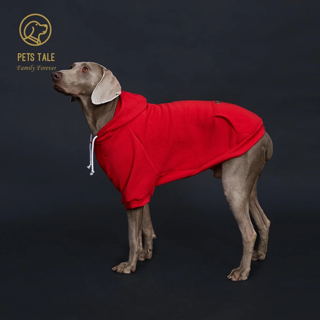 Dog wearing a red hoodie with 'Pets Tale' logo on a dark background
