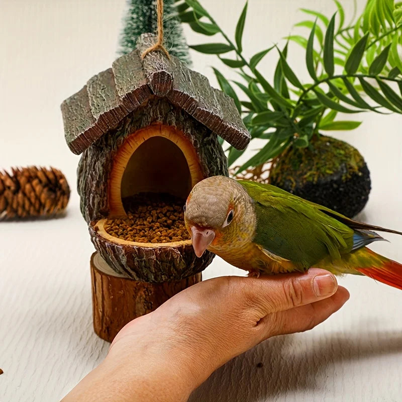 Bird perched on a hand with a wooden birdhouse and plants in the background