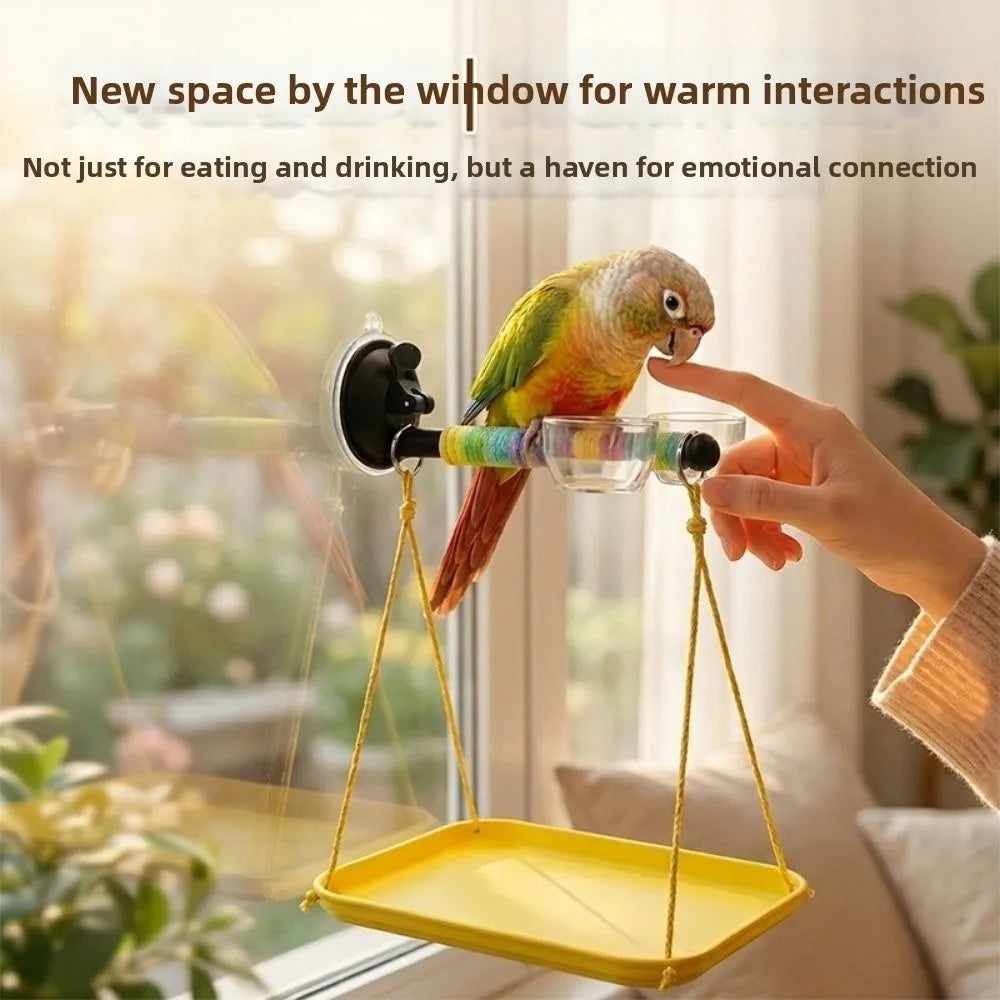 Bird perched on a colorful bird feeder by a window with a hand reaching out.