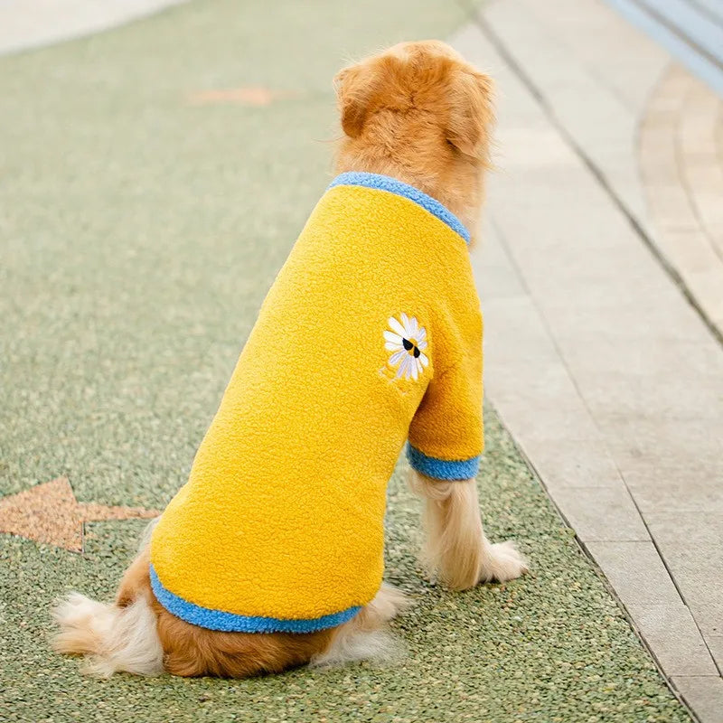 Dog wearing a yellow sweater with a daisy design on a pavement.