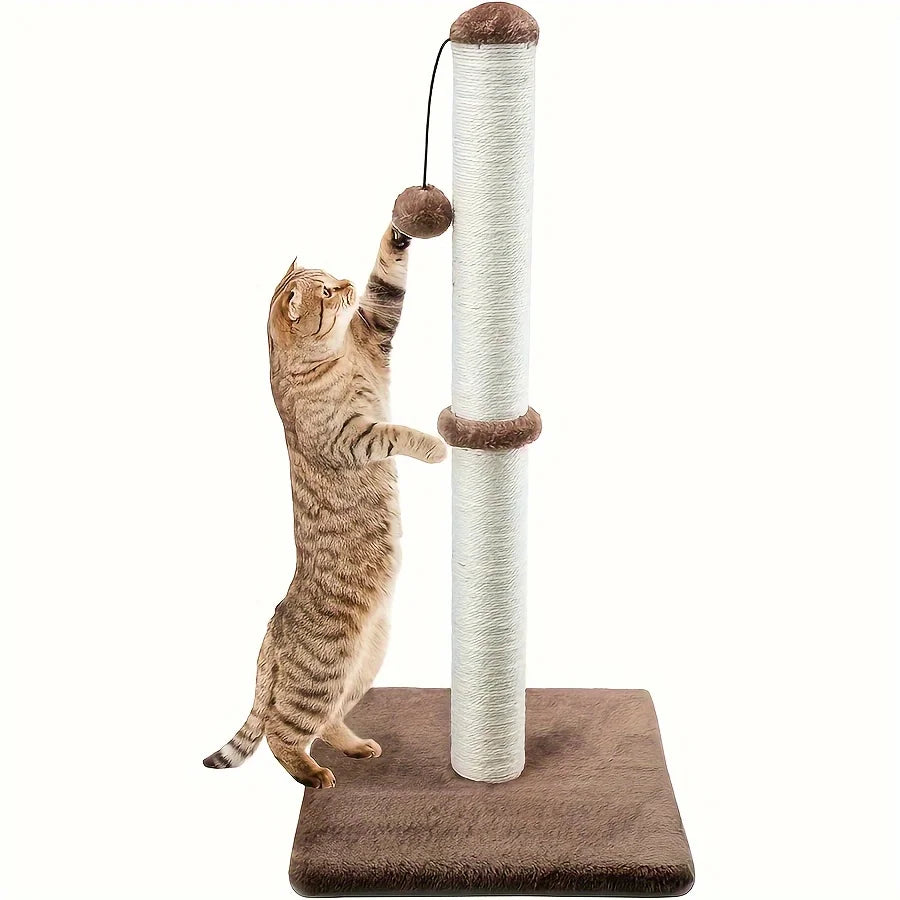 Cat playing with a scratching post on a white background