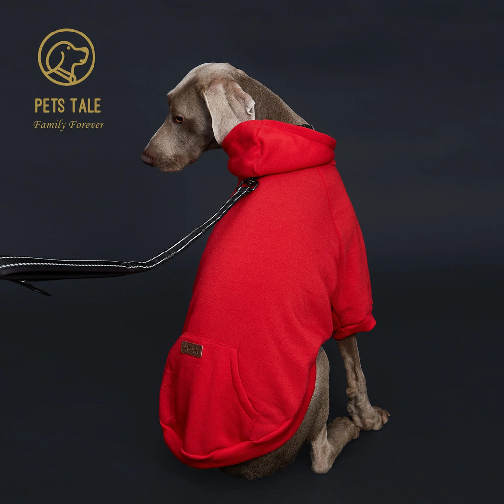 Dog wearing a red hoodie with a leash, on a black background with 'Pets Tale' branding.