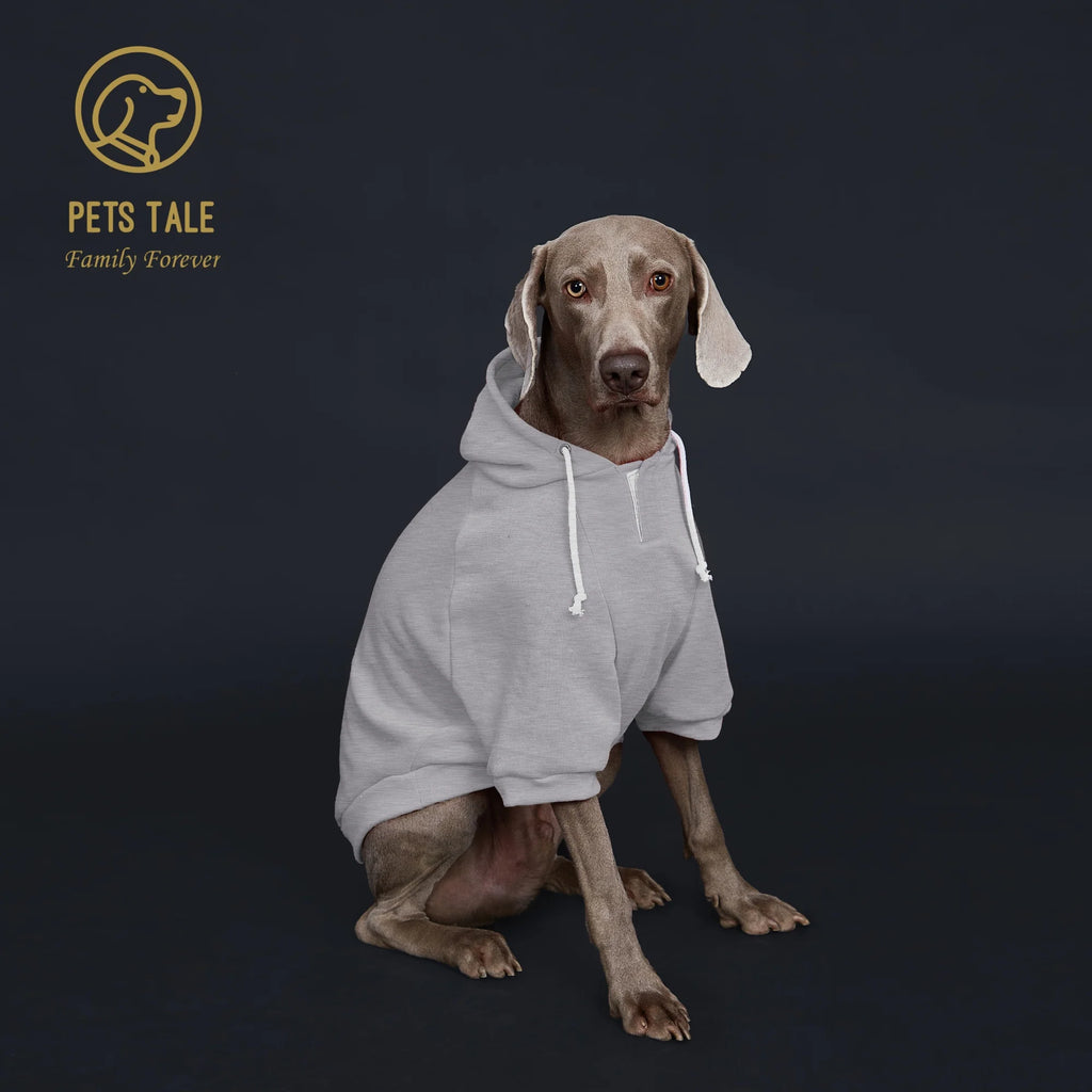 Dog wearing a gray hoodie with 'Pets Tale' logo on a dark background