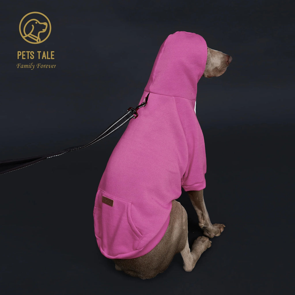 Dog wearing a pink hoodie with 'Pets Tale' logo on a dark background