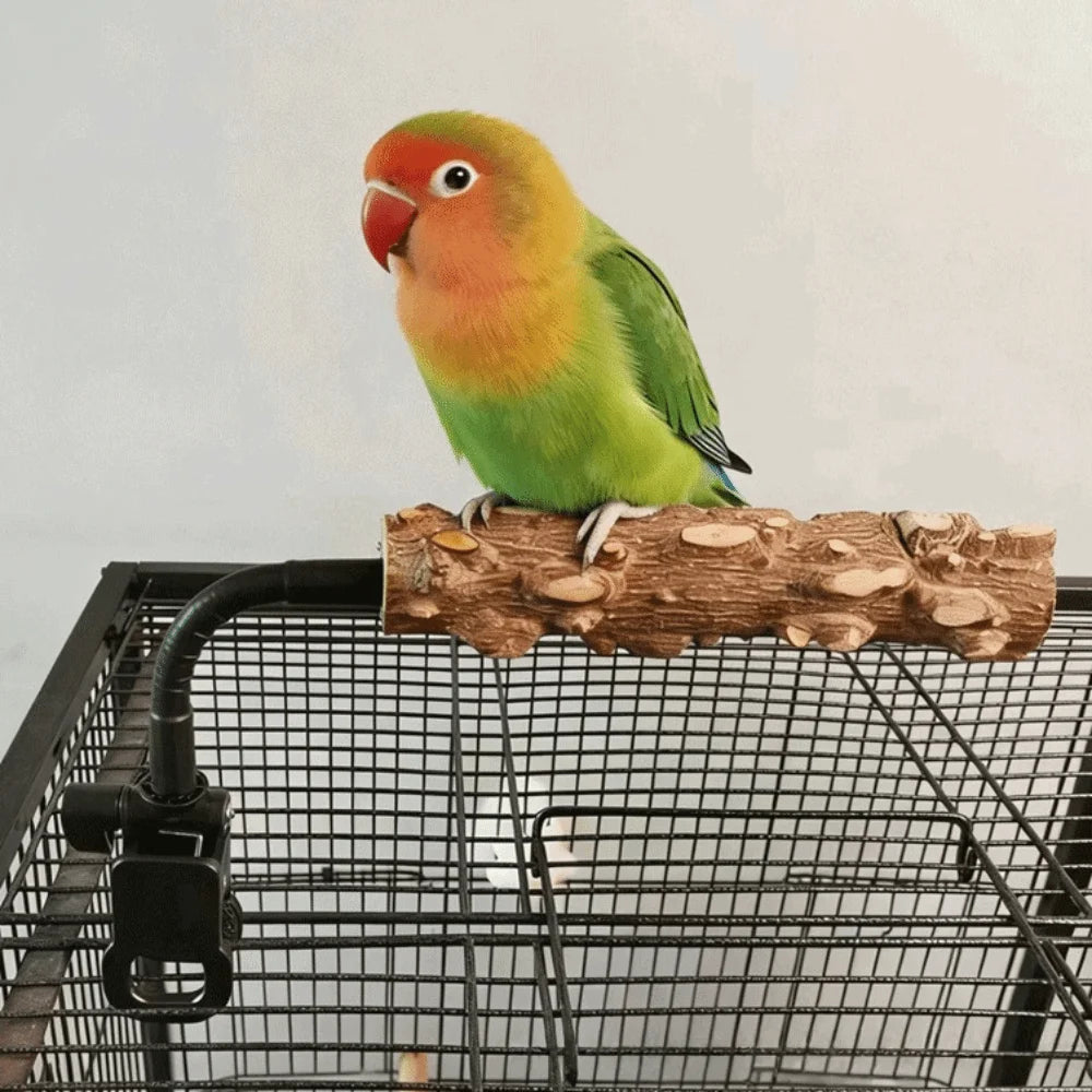 A small lovebird parrot with green wings, a yellow chest, and a red face perched on a wooden branch inside a black wire cage against a plain light background.