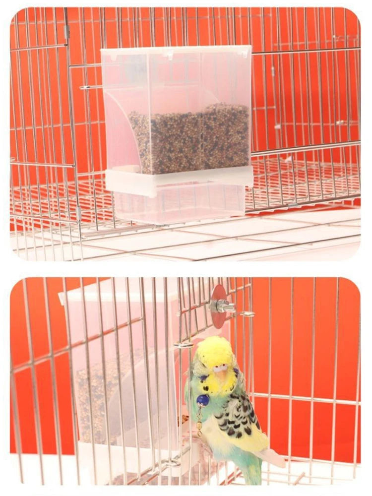 Parrot Feeder – Anti-Spill Transparent Bird Food Box, Clear Feeding Device for Parrots, Durable Bird Feeding Box