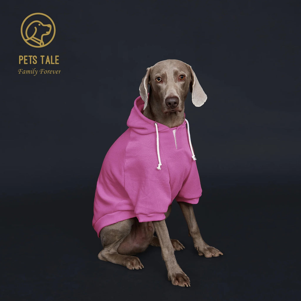 Dog wearing a pink hoodie with 'Pets Tale' logo on a black background