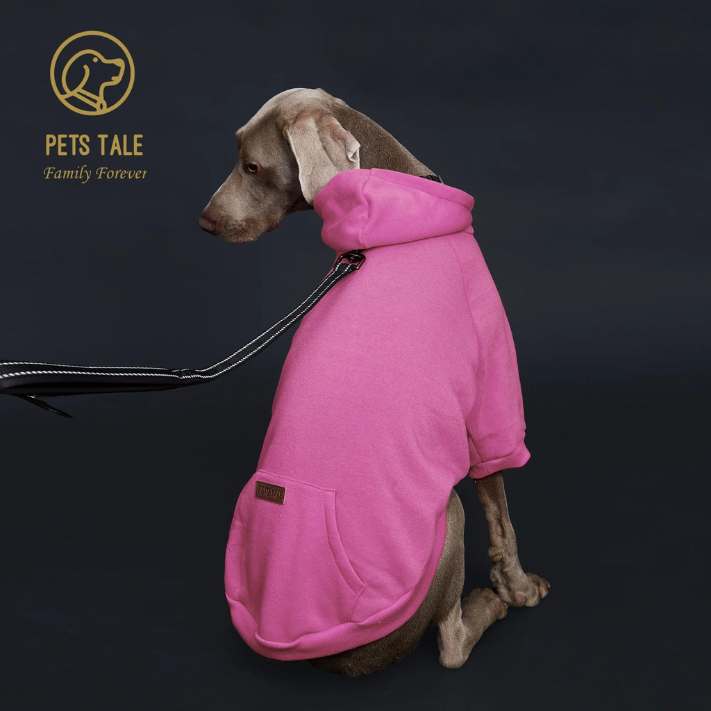 Dog wearing a pink hoodie with 'Pets Tale' logo on a dark background