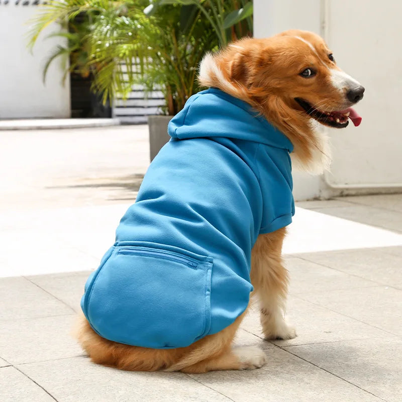 Dog wearing a blue hoodie standing on a tiled floor with plants in the background