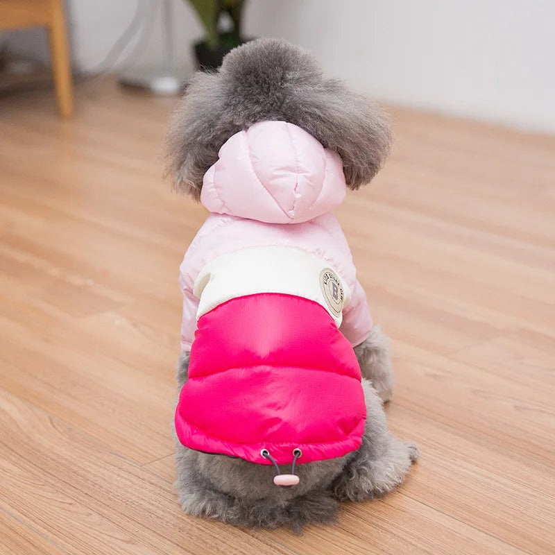 Small dog wearing a pink and red winter coat on a wooden floor.