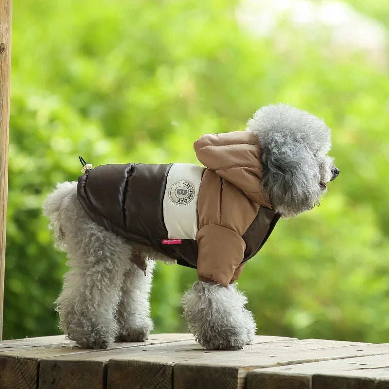 Small dog wearing a brown and beige coat with a brand logo, standing on a wooden surface with a green blurred background.