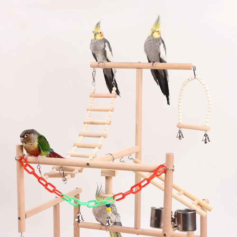 Bird playstand with birds on a white background