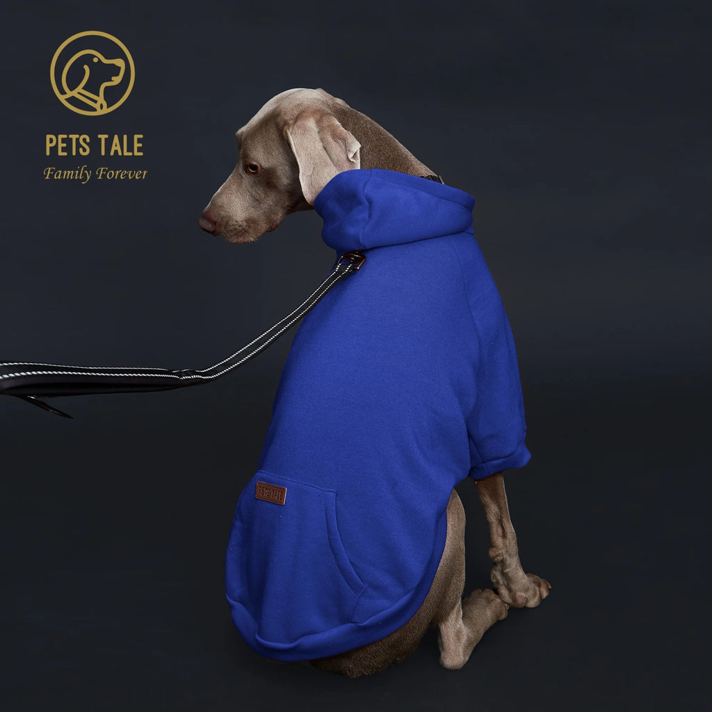 Dog wearing a blue coat with a leash, on a dark background with 'Pets Tale' branding.