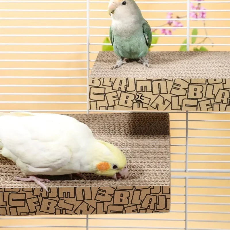 Two birds on a cardboard perch with text, against a window with blinds.