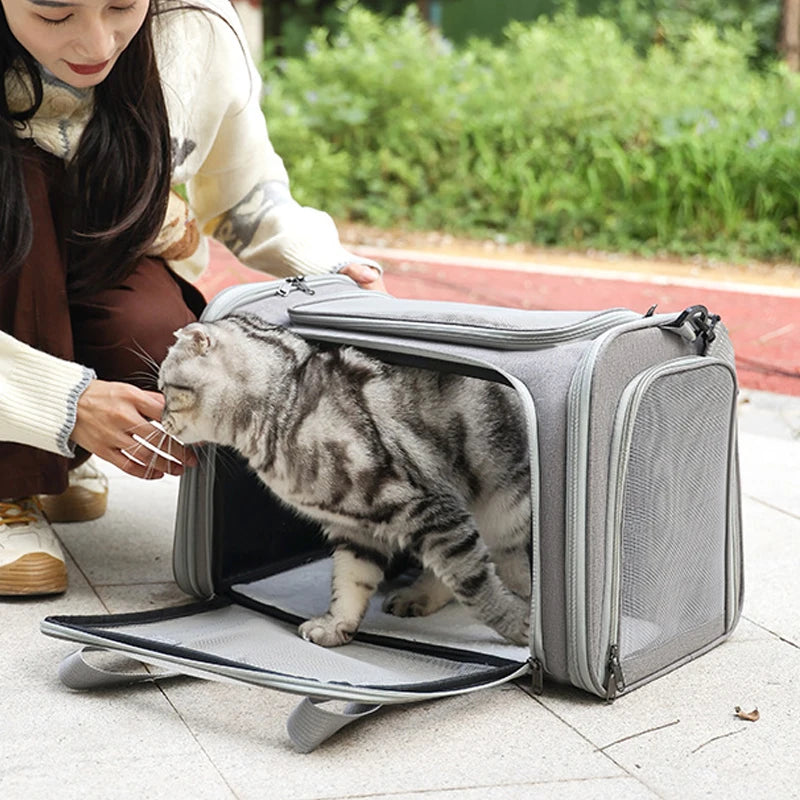 Portable Dog Cat Carrier Bag – Soft-Sided Backpack Pet Carrier, Travel Bags Airline Approved, Transport Handbag for Small Pets