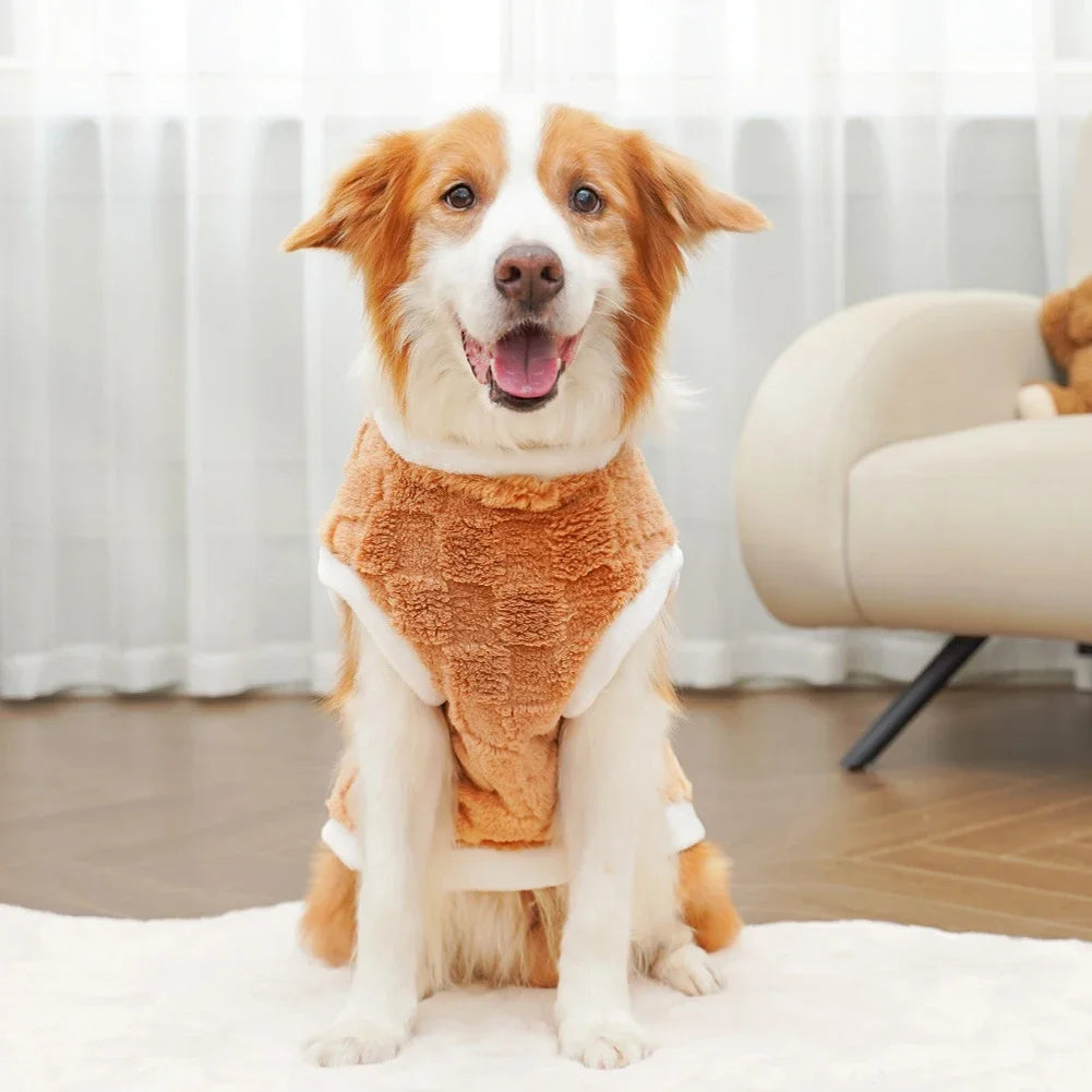 Dog wearing a brown sweater sitting on a white rug with a blurred background