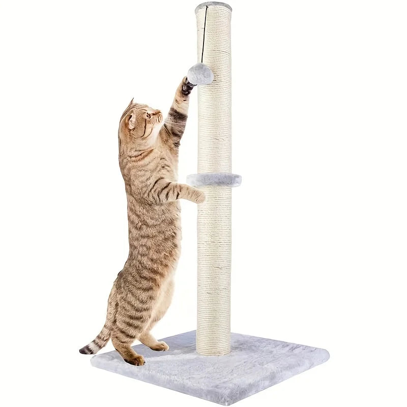 Cat climbing a scratching post with a ball on top against a white background