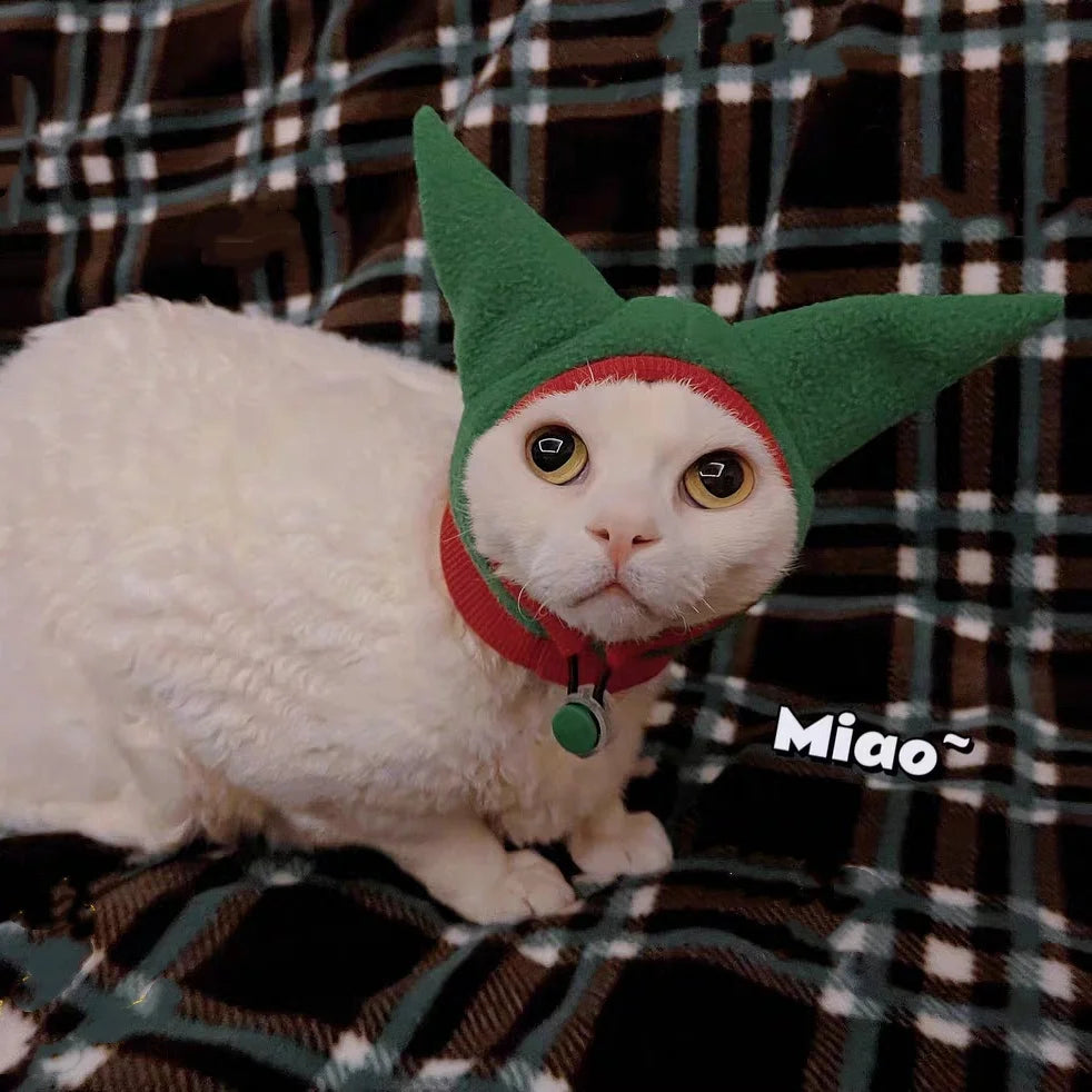 White cat wearing a green elf hat with 'Miao~' text on a checkered background