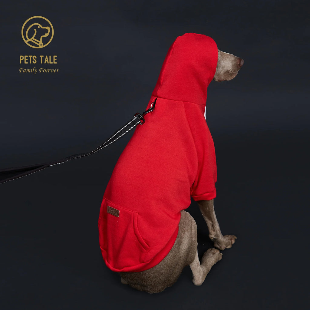 Dog wearing a red hoodie with 'Pets Tale' logo on a dark background